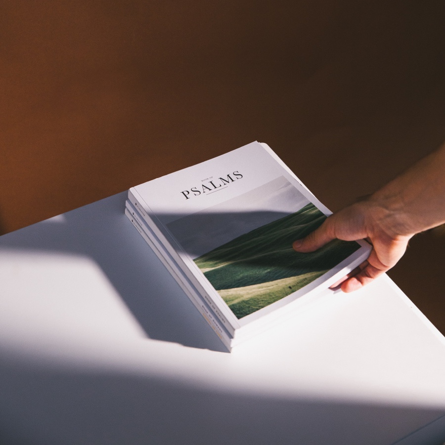 Prospect Ink studio interior